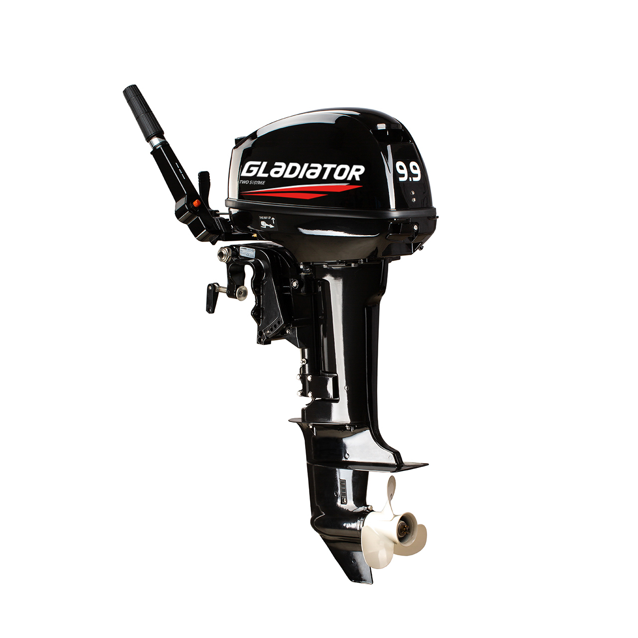 ЛОДОЧНЫЙ МОТОР GLADIATOR G9.9FHS в Твери