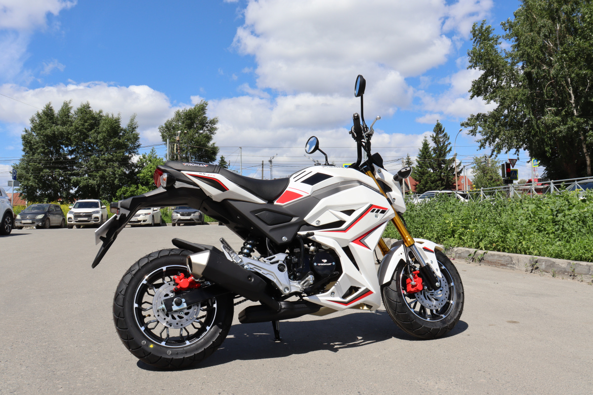 Мотоцикл PROMAX STRYKER 200(49) 2.0 в Твери