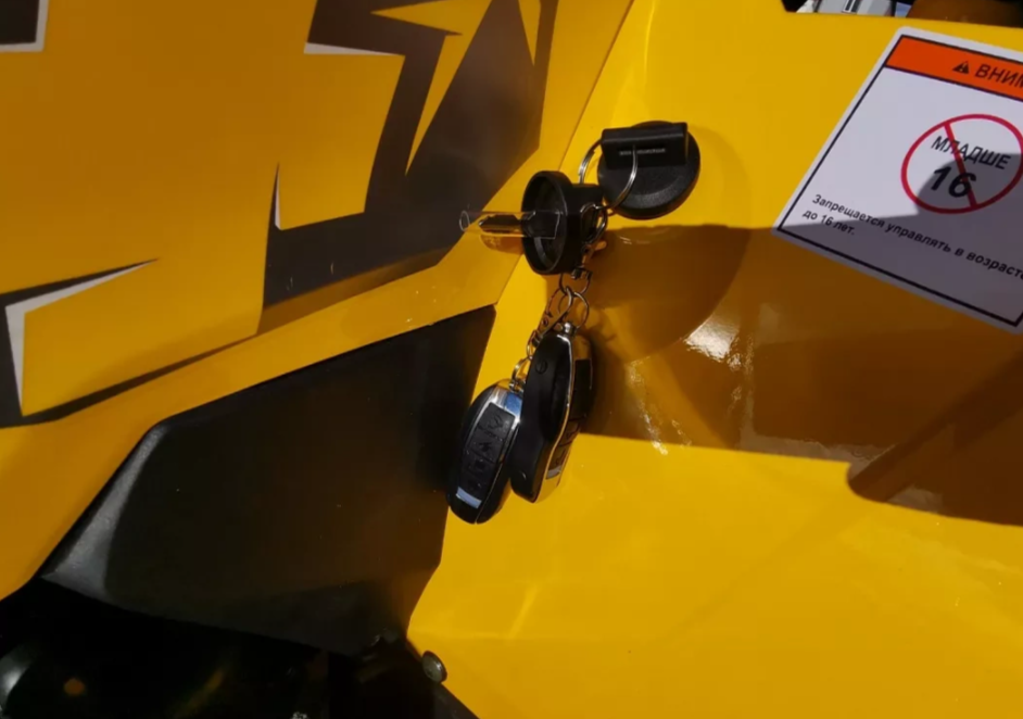 Квадроцикл MOTOLAND (МОТОЛЕНД) VOX200 WILD TRACK X PRO (баланс. вал) в Твери