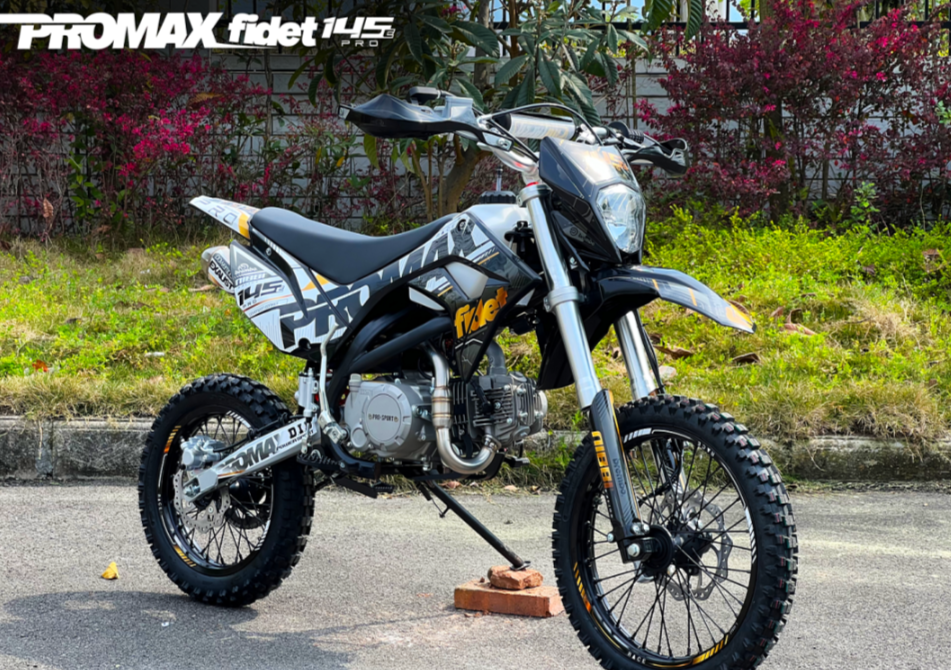 Мотоцикл (питбайк) PROMAX FIDET (ФАЙДЕТ) 145E PRO 17/14 в Твери