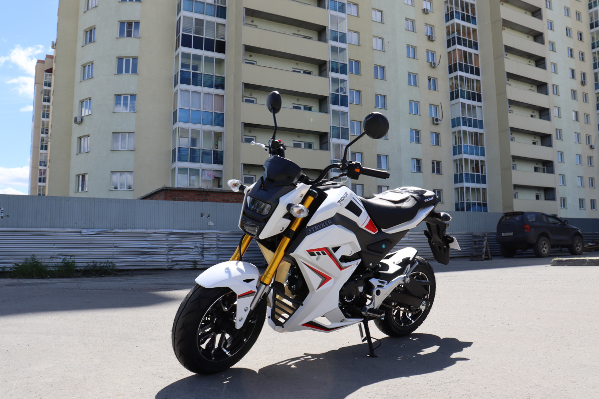 Мотоцикл PROMAX STRYKER 200(49) 2.0 в Твери