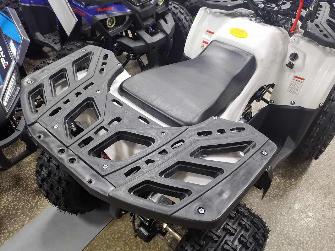 Квадроцикл PROMAX WILD 175 LUX в Твери