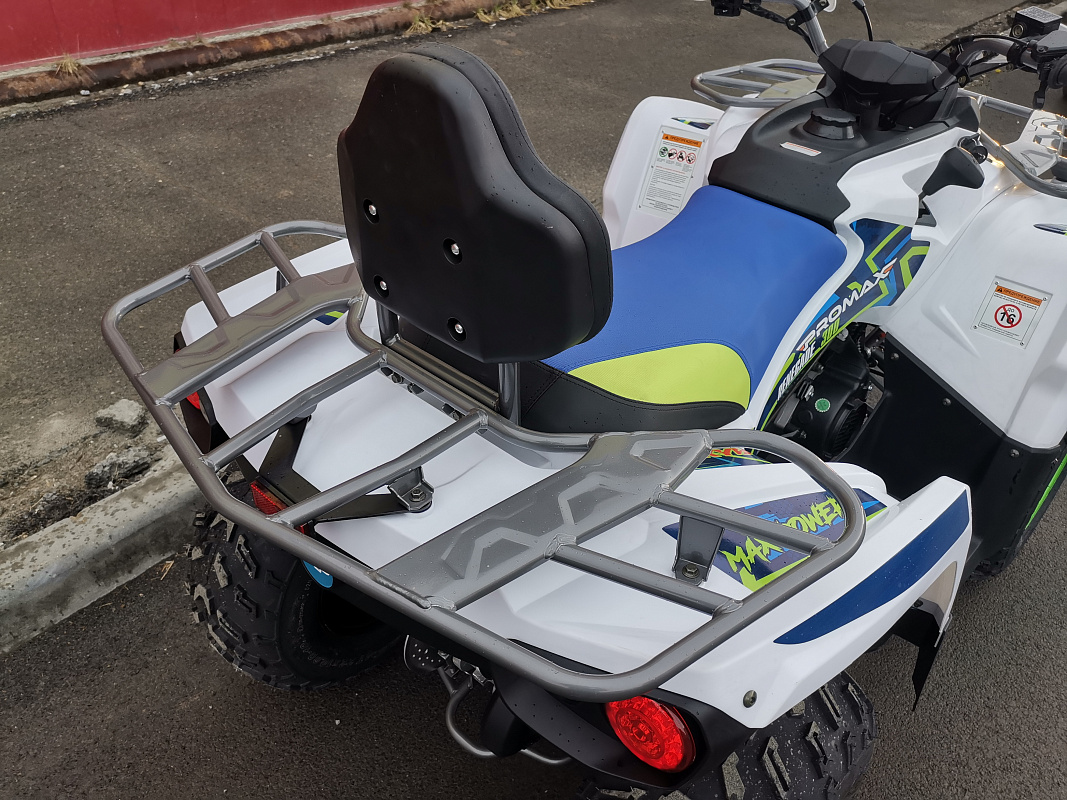 Квадроцикл PROMAX RENEGADE 280 LUX (2025) в Твери
