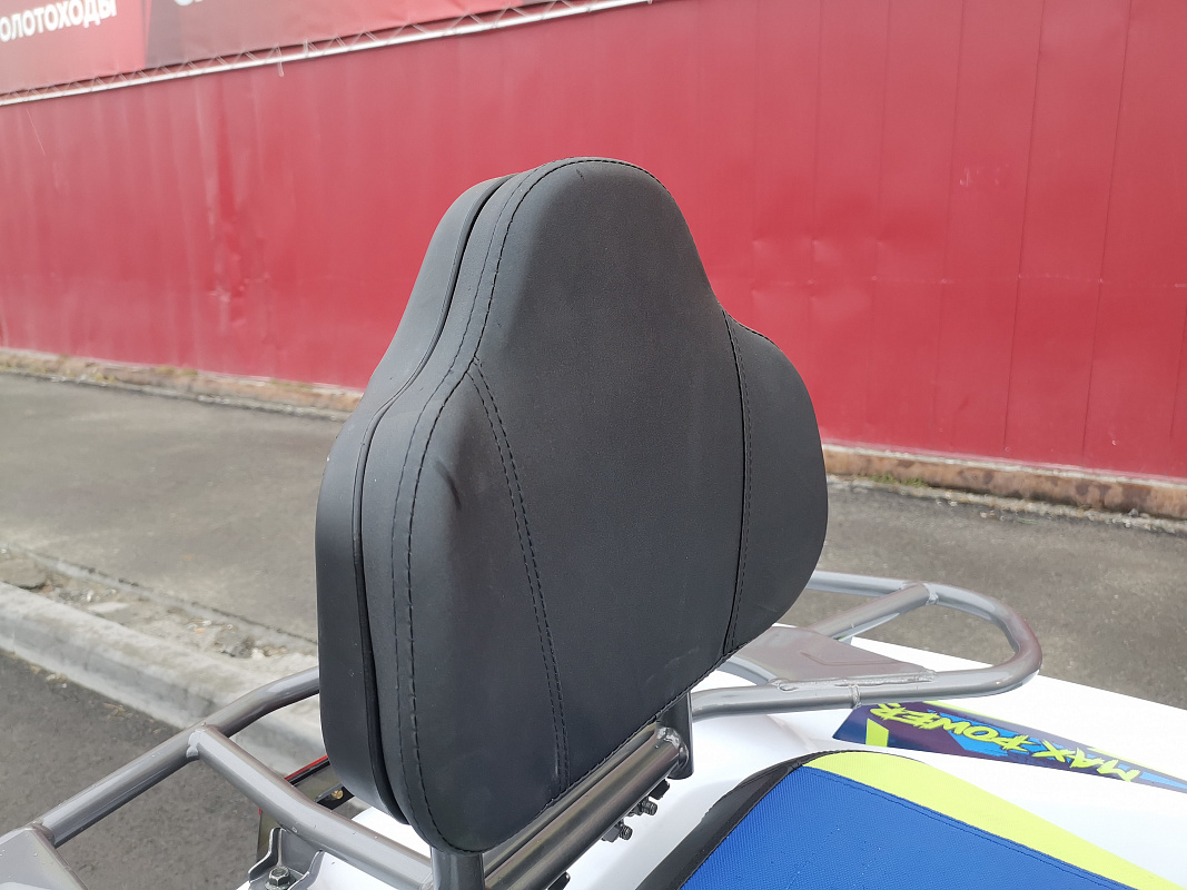 Квадроцикл PROMAX RENEGADE 280 LUX (2025) в Твери