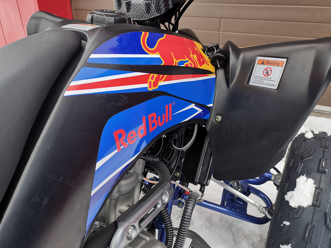 Квадроцикл PROMAX RAPTOR 300 NEW RedBull в Твери
