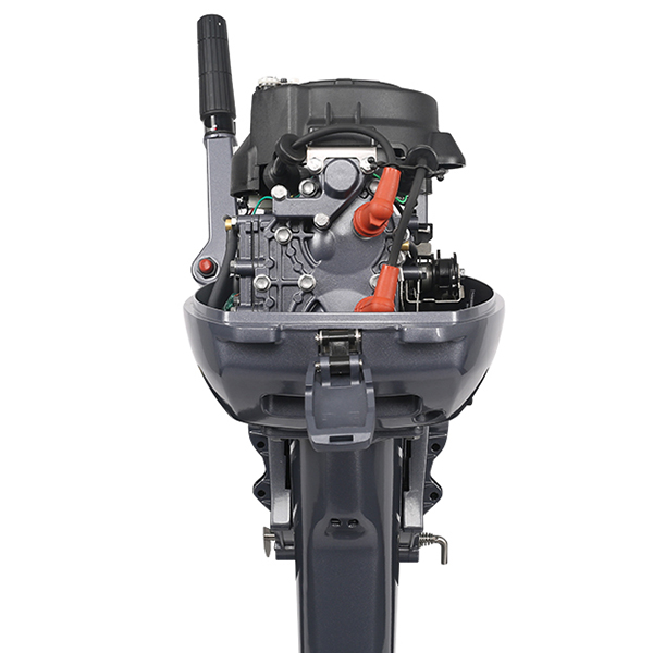 ЛОДОЧНЫЙ МОТОР ALLFA CG Т9,9 Limit в Твери