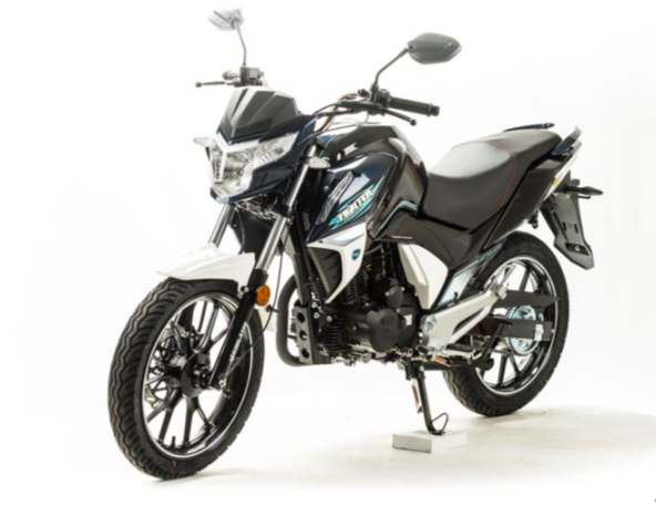 Мотоцикл MOTOLAND (МОТОЛЕНД) FIGHTER 250 в Твери