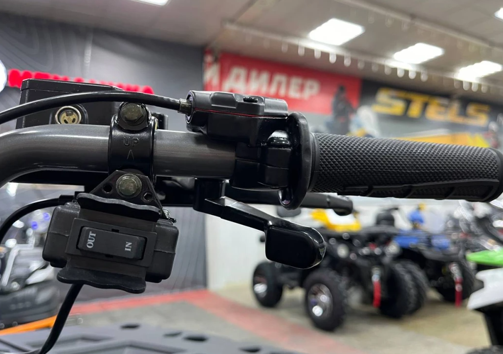 Квадроцикл PROMAX RENEGADE 300 LONG WINCH PRO (2025) в Твери