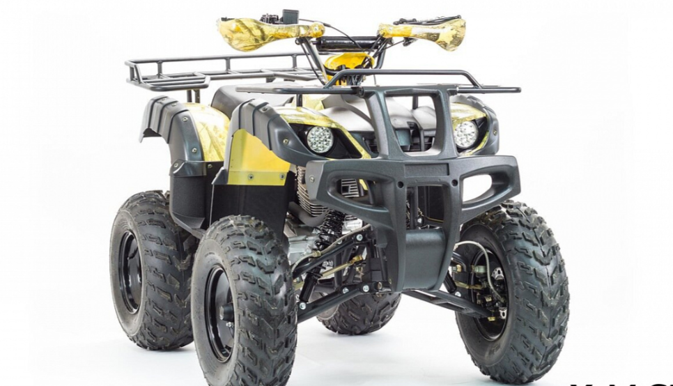 Квадроцикл MOTOLAND (МОТОЛЕНД) 250 ADVENTURE в Твери