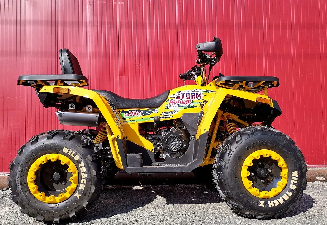 Квадроцикл PROMAX STORM 280 LUX в Твери