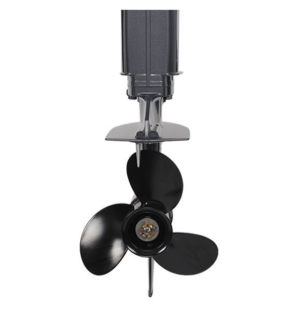 Лодочный мотор ALLFA CG Т40FW S в Твери