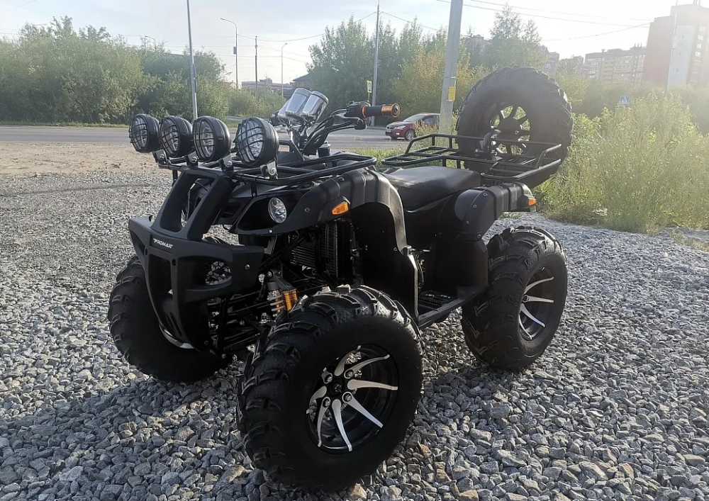 Квадроцикл PROMAX LEO 300 Max (кардан) в Твери