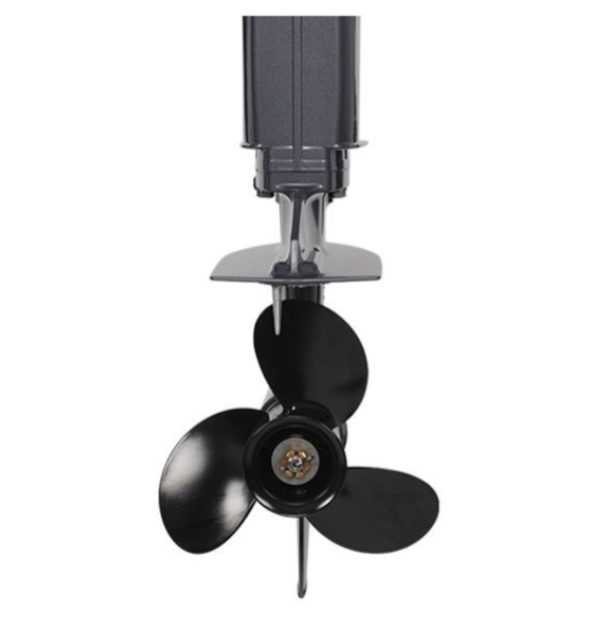 Лодочный мотор ALLFA CG Т40FWT S в Твери