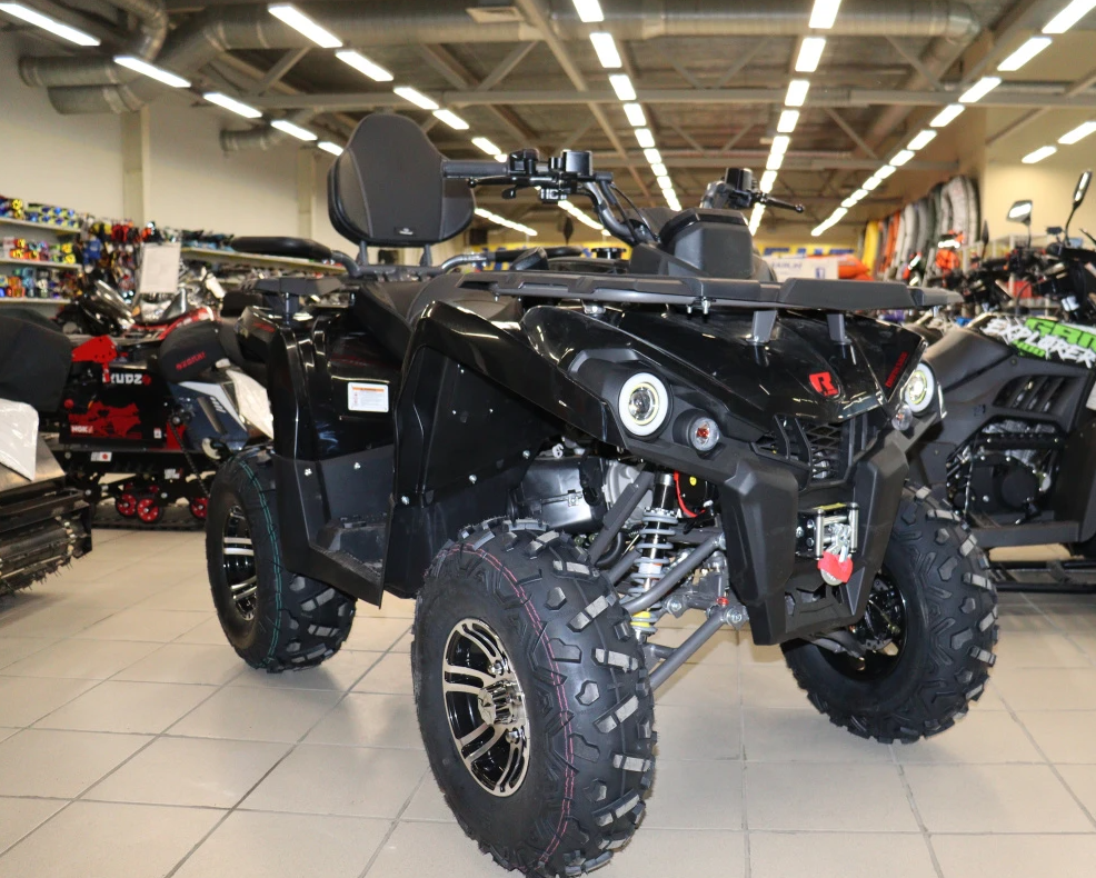 Квадроцикл PROMAX RENEGADE 300 LONG WINCH PRO (2025) в Твери