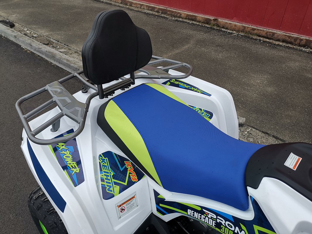 Квадроцикл PROMAX RENEGADE 280 LUX (2025) в Твери