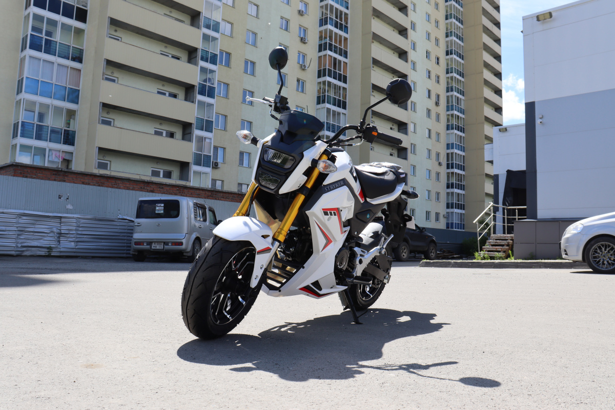Мотоцикл PROMAX STRYKER 200(49) 2.0 в Твери