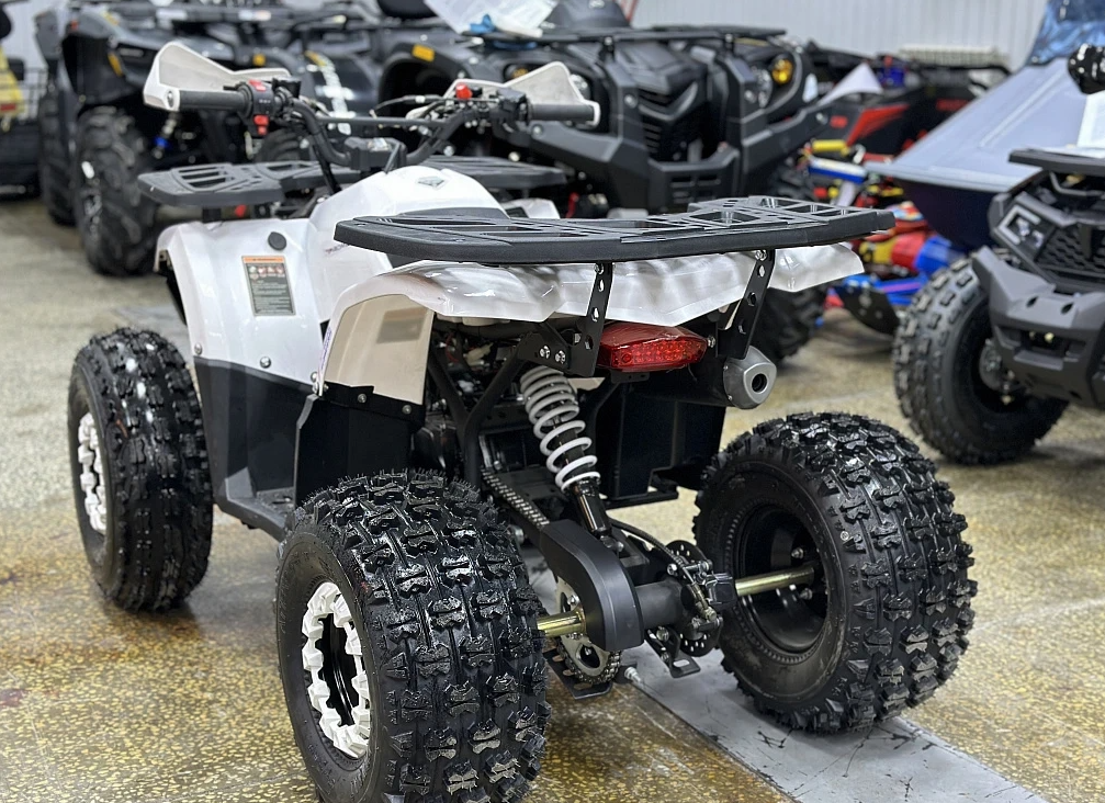 Квадроцикл PROMAX WILD 2.0 190 в Твери