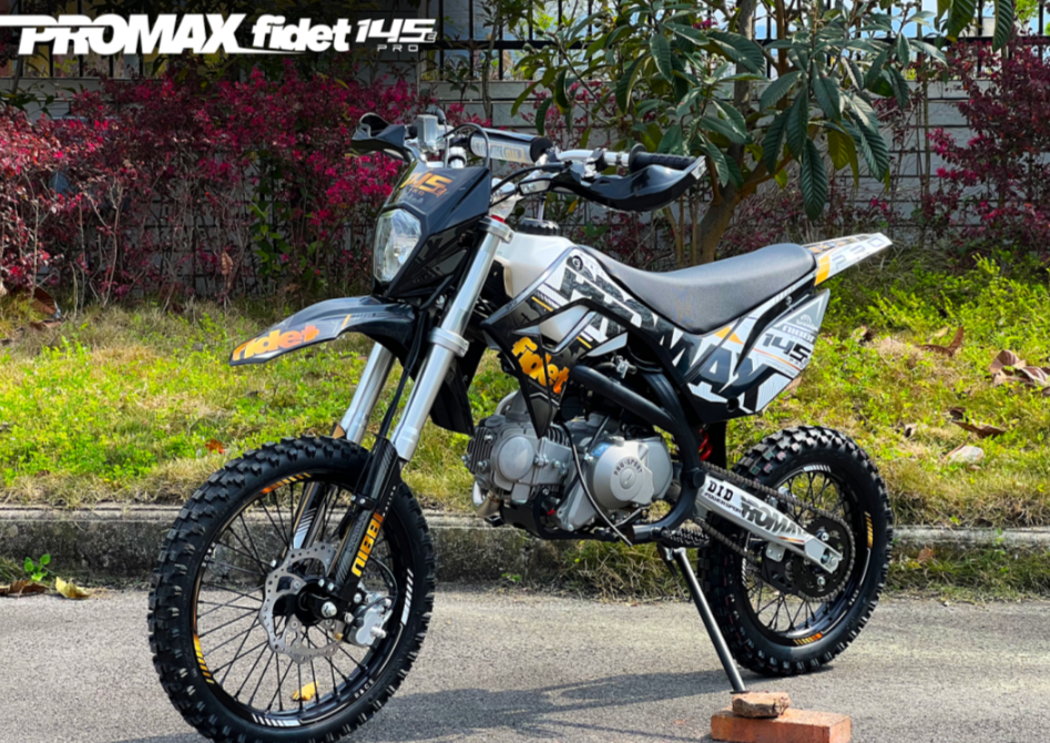 Мотоцикл (питбайк) PROMAX FIDET (ФАЙДЕТ) 145E PRO 17/14 в Твери