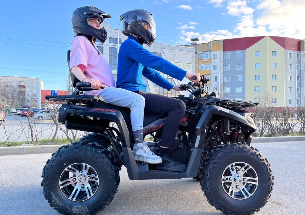 Квадроцикл PROMAX RENEGADE 300 LONG WINCH PRO (2025) в Твери