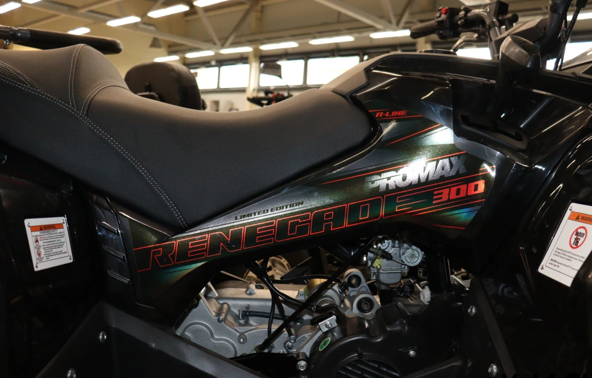 Квадроцикл PROMAX RENEGADE 300 LONG WINCH PRO (2025) в Твери