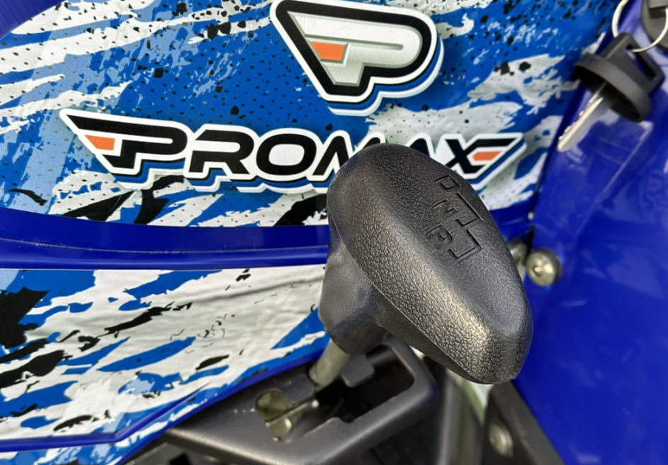  Квадроцикл PROMAX ATV 250 MAX (2025) в Твери