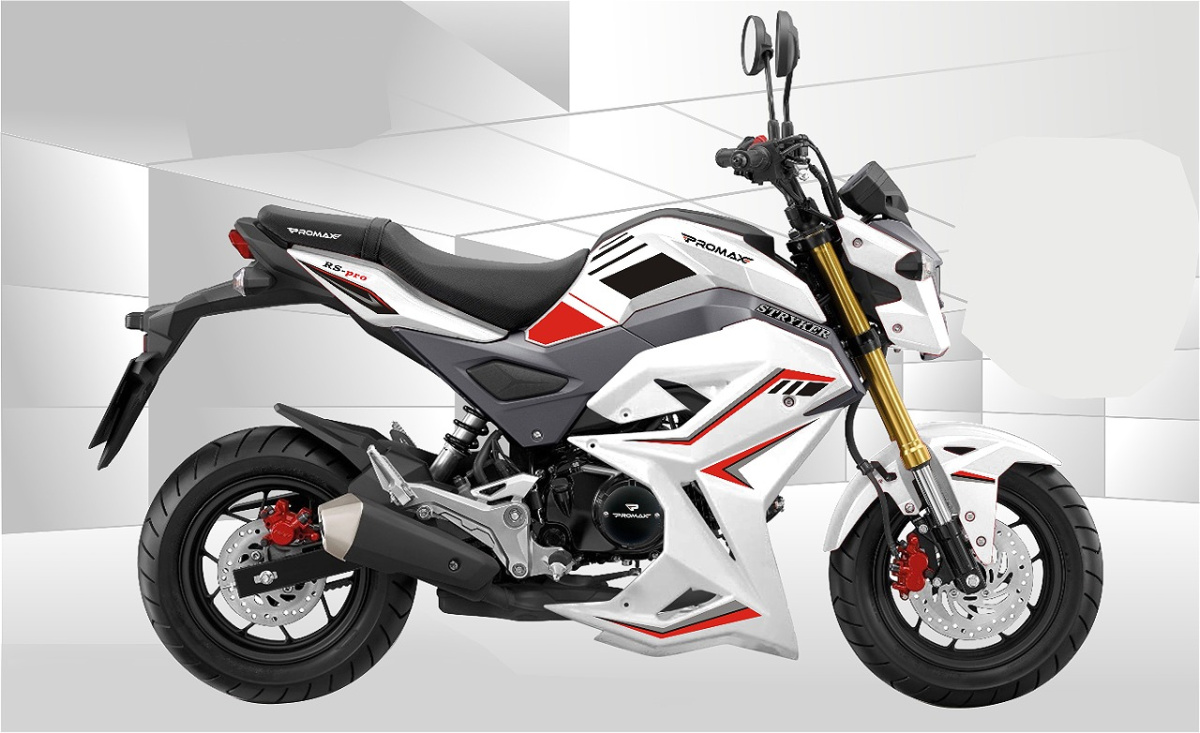 Мотоцикл PROMAX STRYKER 200(49) 2.0 в Твери