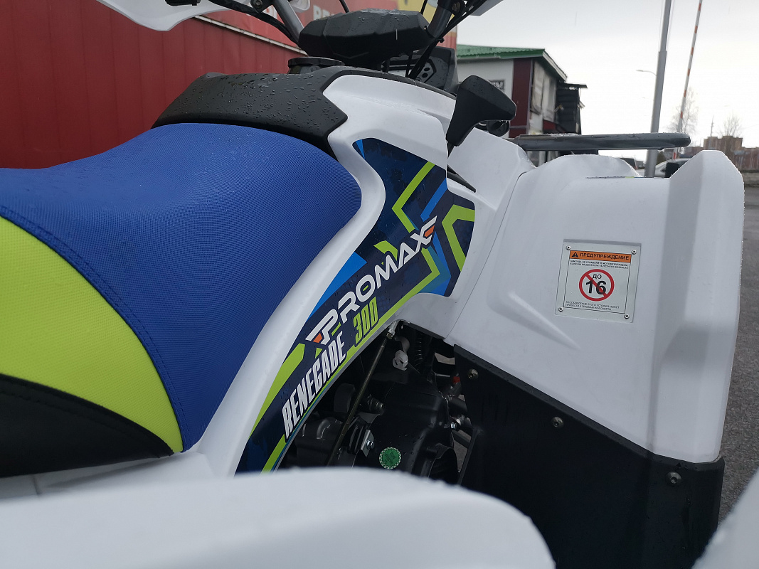 Квадроцикл PROMAX RENEGADE 280 LUX (2025) в Твери