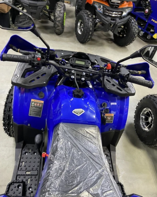 Квадроцикл PROMAX WILD 2.0 190 PRO (2025) в Твери