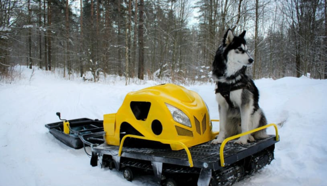 Мотобуксировщик LEBEDEV MOTORS ВОЛКОДАВ POWER V13 в Твери
