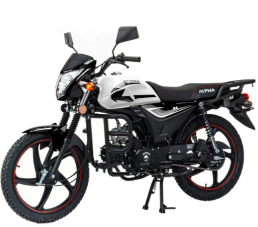 Мопед MOTOLAND (МОТОЛЕНД) Альфа RS 11 (LM48-B) в Твери