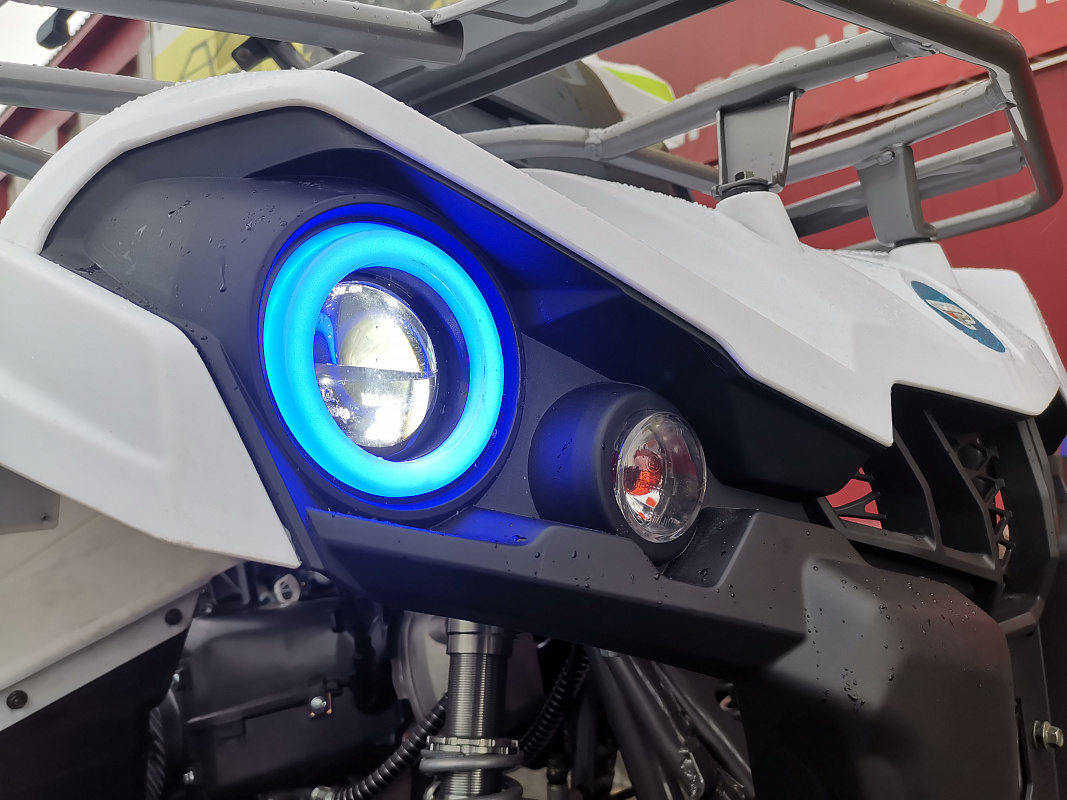 Квадроцикл PROMAX RENEGADE 280 LUX (2025) в Твери