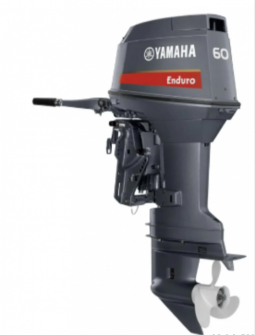 Лодочный мотор YAMAHA E60HMHDL в Твери
