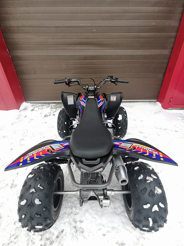 Квадроцикл PROMAX RAPTOR 300 NEW RedBull в Твери