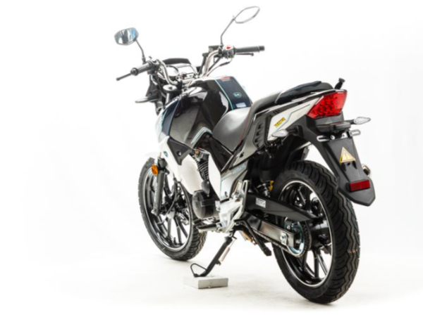 Мотоцикл MOTOLAND (МОТОЛЕНД) FIGHTER 250 в Твери