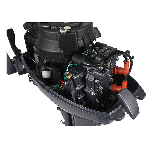 ЛОДОЧНЫЙ МОТОР ALLFA CG Т9,9 Limit в Твери