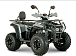 Квадроцикл YACOTA DRAGON LUX LD 150 PRO-SPORT в Твери