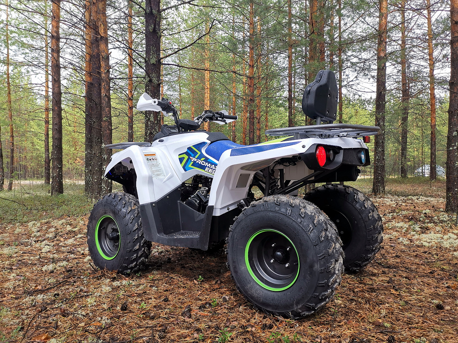 Квадроцикл PROMAX RENEGADE 280 (2025) в Твери