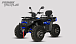 Квадроцикл PROMAX TAURUS 300 MAX-PRO LONG в Твери