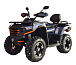 Квадроцикл MOTOLAND (МОТОЛЕНД) 300 MAX X в Твери