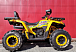Квадроцикл PROMAX STORM 280 LUX в Твери