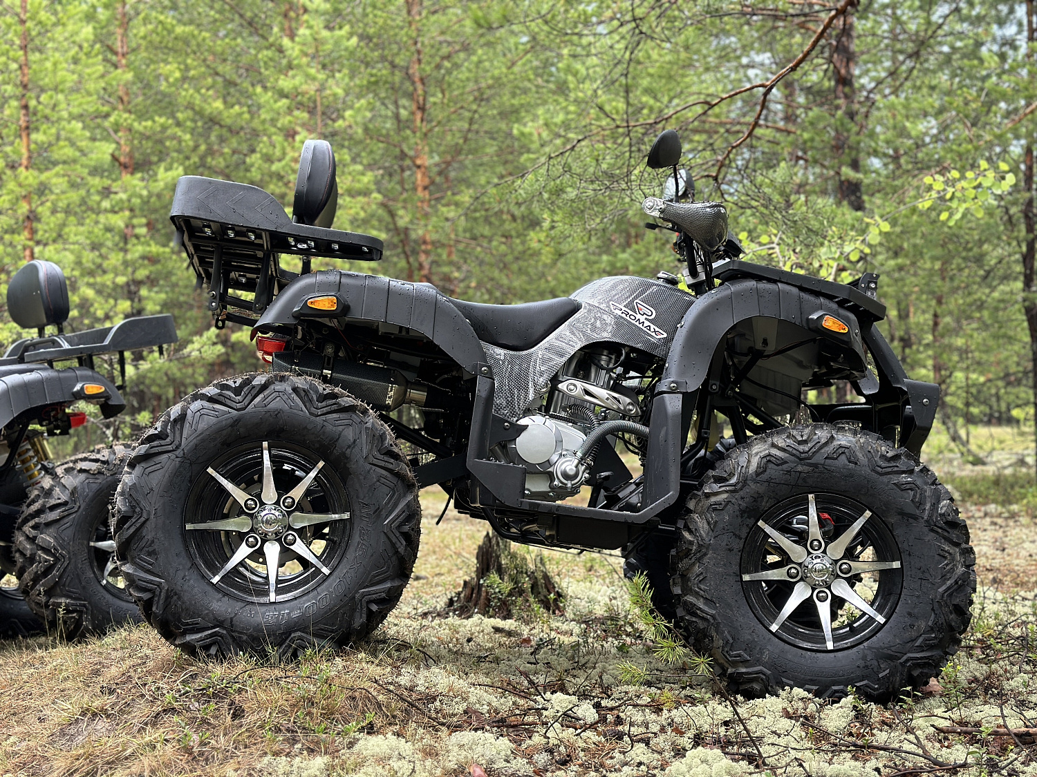 Квадроцикл PROMAX 320 DOMINATOR (2025) в Твери