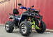  Квадроцикл PROMAX ATV 250 MAX (2025) в Твери