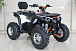 Квадроцикл GBM STORMRIDER 320 PREMIUM в Твери