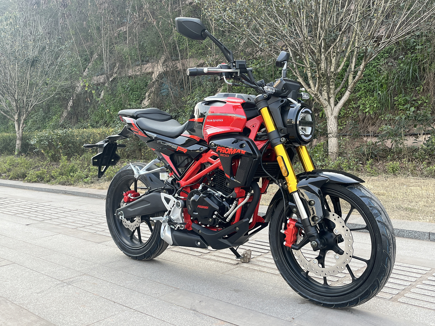 Мотоцикл PROMAX CB300 в Твери