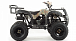 Квадроцикл MOTOLAND (МОТОЛЕНД) 200 ALL ROAD в Твери