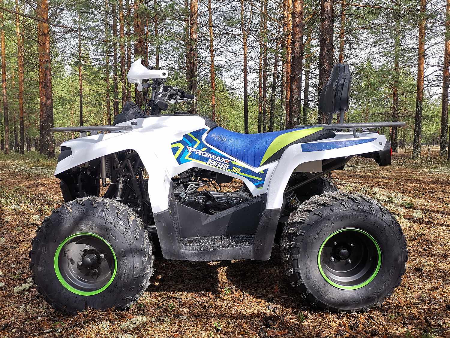 Квадроцикл PROMAX RENEGADE 280 (2025) в Твери