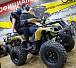 Квадроцикл PROMAX ATV 250 (2025) в Твери