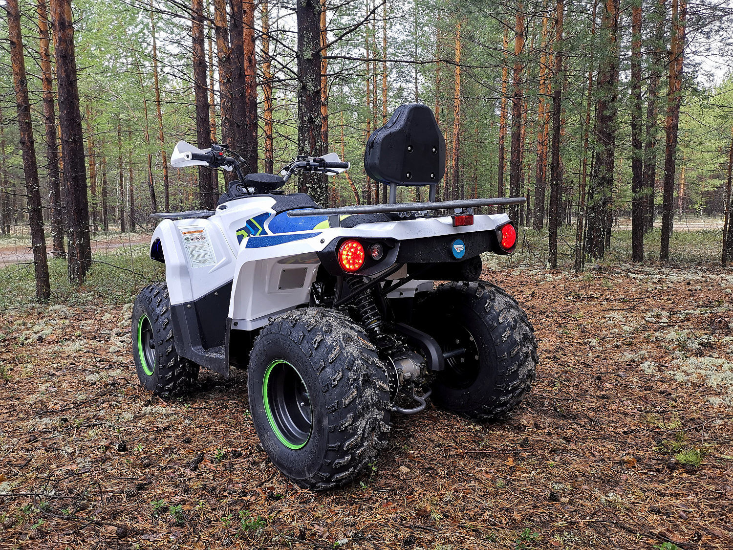 Квадроцикл PROMAX RENEGADE 280 (2025) в Твери