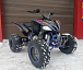 Квадроцикл PROMAX RAPTOR 300 NEW RedBull в Твери