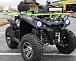Квадроцикл PROMAX RENEGADE 280 WINCH PRO (2025) в Твери